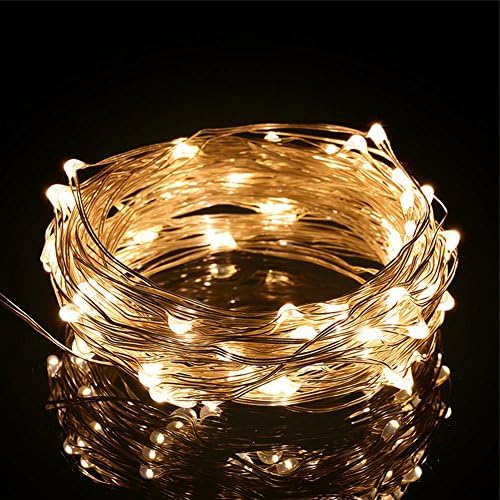 Amposei USB Powered Copper Wire LED Starry String Lights for Christmas Wedding Decoration 33FT 100 LEDs Warm White