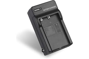 RAINY KING EN-EL9 EN-EL9a Battery Charger for Nikon EN-EL9 EN EL9a Battery, Nikon D40, D40X, D60, D3000, D5000 Cameras