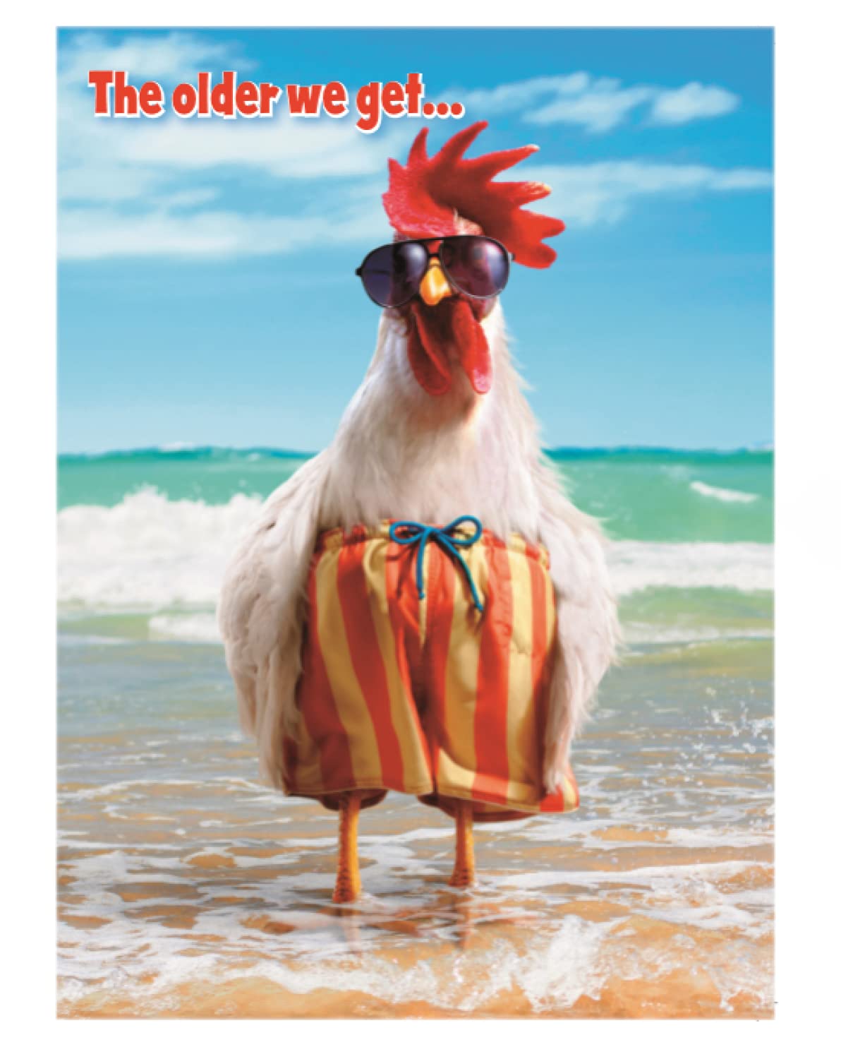 Greeting Card (GBBC2846) Humour Birthday - Chicken - Older We Get