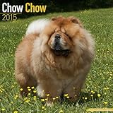 Chow Chow Calendar - Breed Specific Chow Chow Calendar - 2015 Wall calendars - Dog Calendars - Monthly Wall Calendar by Avonside