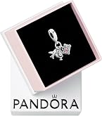 Amazon.com: PANDORA Openable Passport Dangle Charm - Compatible