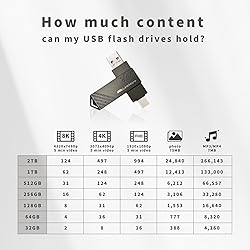 LinkMore 256GB, 2in1 OTG Flash Drive for Android