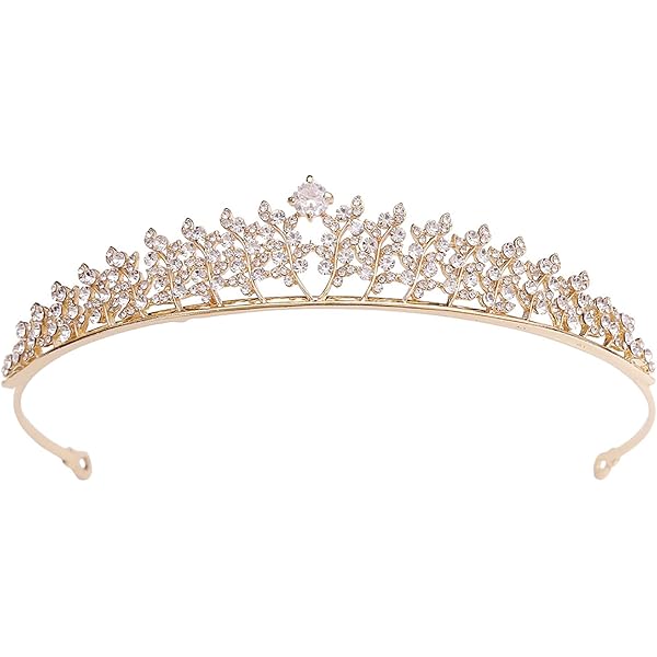 Elegant Rhodium Plated CZ Crystal Flower Meadow Tiara Bridal