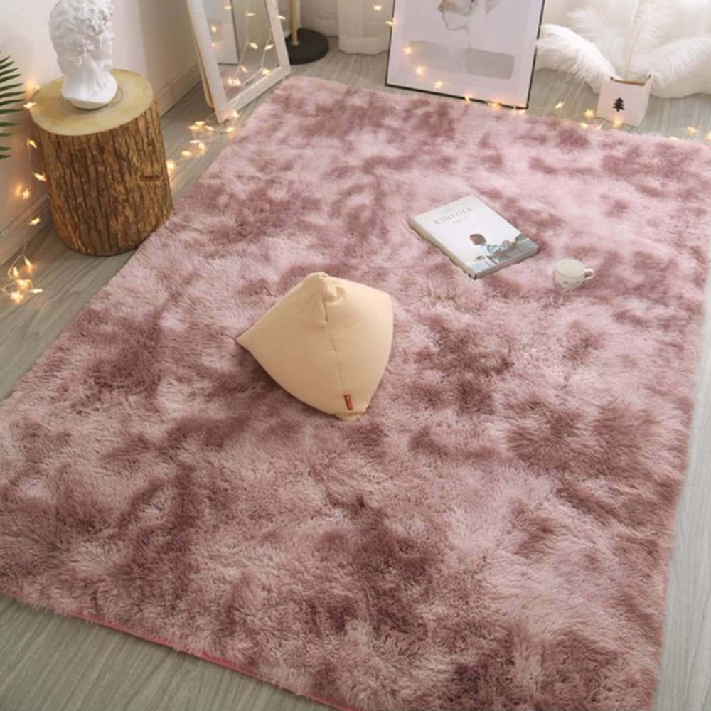 Kaxich Area Rugs Large Soft Fluffy Living Room Rug Non-Slip Shaggy Carpet Furry Plush Floor Mats for Bedroom Kids Rooms Home Decor Non Shedding, 80cm x 160cm (2.6 x 5ft)