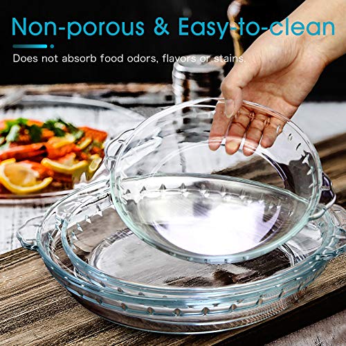 6.5 Inch Pie Plate by NUTRIUPS Small Glass Pie Dish Glass Pie Pan