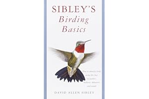 Sibley's Birding Basics