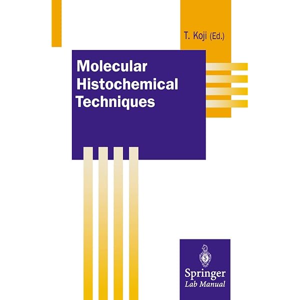 Polymer Analysis (Analytical Techniques in the Sciences (AnTs