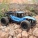 Fistone RC Car 2.4G High Speed Racing Cars 1:16 Iron Radio Control Monster Truck Rock Off-Road Vehicle Buggy Hobby Electronic Game Toys Model (Blue)