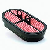 Donaldson P600975 Safety Oval Air Filter