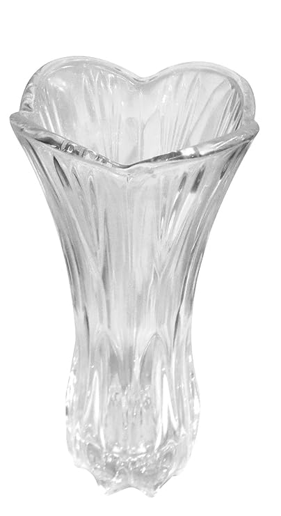 Confidence Home Decorative Item Beautiful Transparent Glass Vases for Flowers, Pack of 1 (Small)