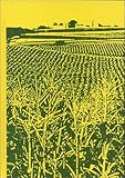 Quantitative Genetics in Maize Breeding, Hallauer, Arnel R. and Miranda, J. B., 0813815223