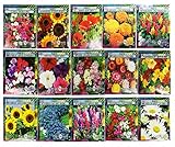 Set of 22 Valley Green Black Duck Brand Heirloom Flower Seeds 22 Different Varieties Non-GMO (Variety Deluxe Flower Garden)