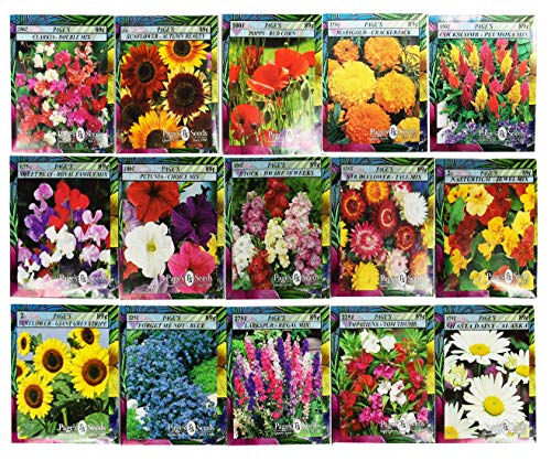 Set of 15 Black Duck Brand Heirloom Flower Seeds 15 Different Varieties Non-GMO (Variety Deluxe Flower Garden)