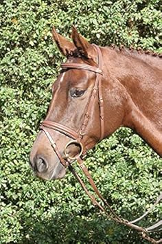 Hans Melzer Horse Equipment Trense Bad Harzburg, braun/ messing, Pony