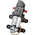 bayite 12V DC Fresh Water Pressure Diaphragm Pump with Hose Clamps Self Priming Sprayer Pump with Pressure Switch 4 L/Min 1.0