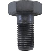 Ring gear bolt