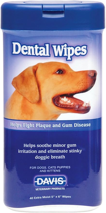 rottweiler puppy training guide