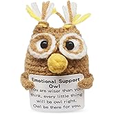 LNEMDP Funny Handmade Crochet Mini Brown Owl Suitable for Students and Colleagues, A Thoughtful Encouragement Gift for Christmas and Birthdays