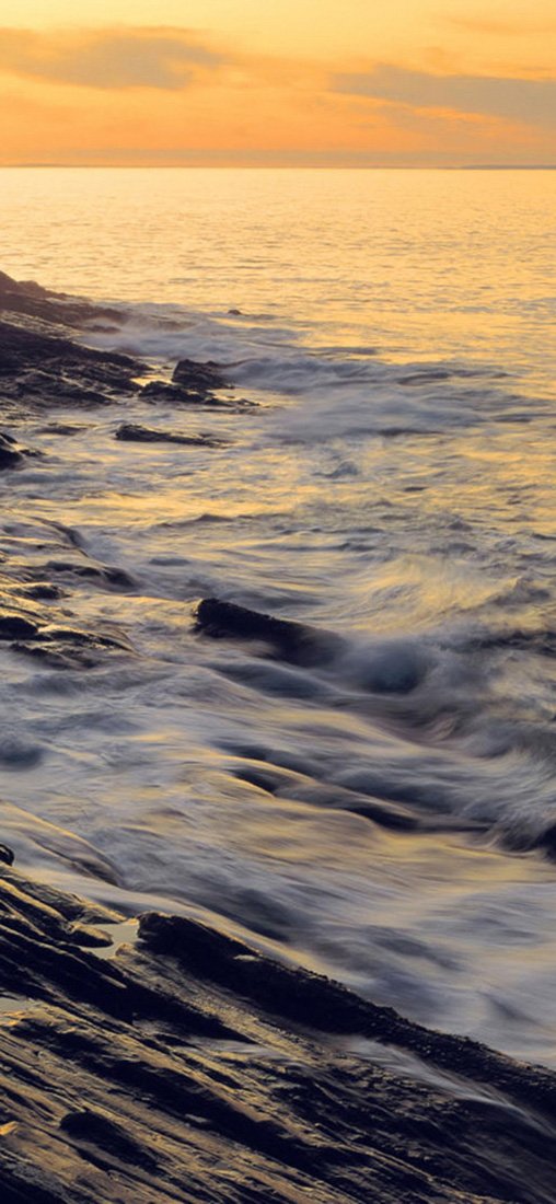 PeelitStickit, Beautiful Nature Wall Murals, ID-1258, vinyl