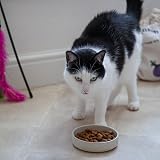 Mason Cash Colour Mix Cat Saucer 13cm 200ml Stoneware Bowl view 5