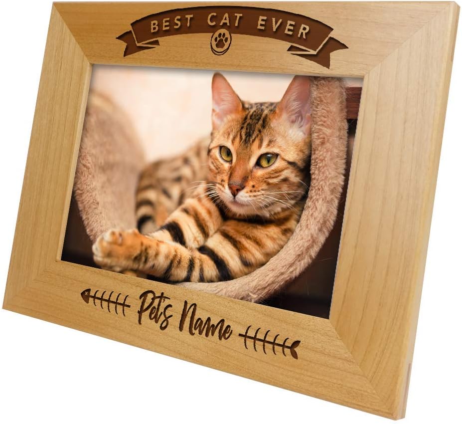 Best Cat Ever Add Pet NamePersonalized Custom Picture