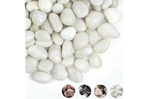 FINIKIS 2lbs White Pebbles for Indoor Plants, 1-2Inch Natural River Rocks for Aquarium, High Polished Decorative Stones for Vase Filler Fish Tank Landscaping Garden