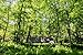 ENO, Eagles Nest Outfitters ProFly Rain Tarp, Ultralight Hammock Accessory, Navy