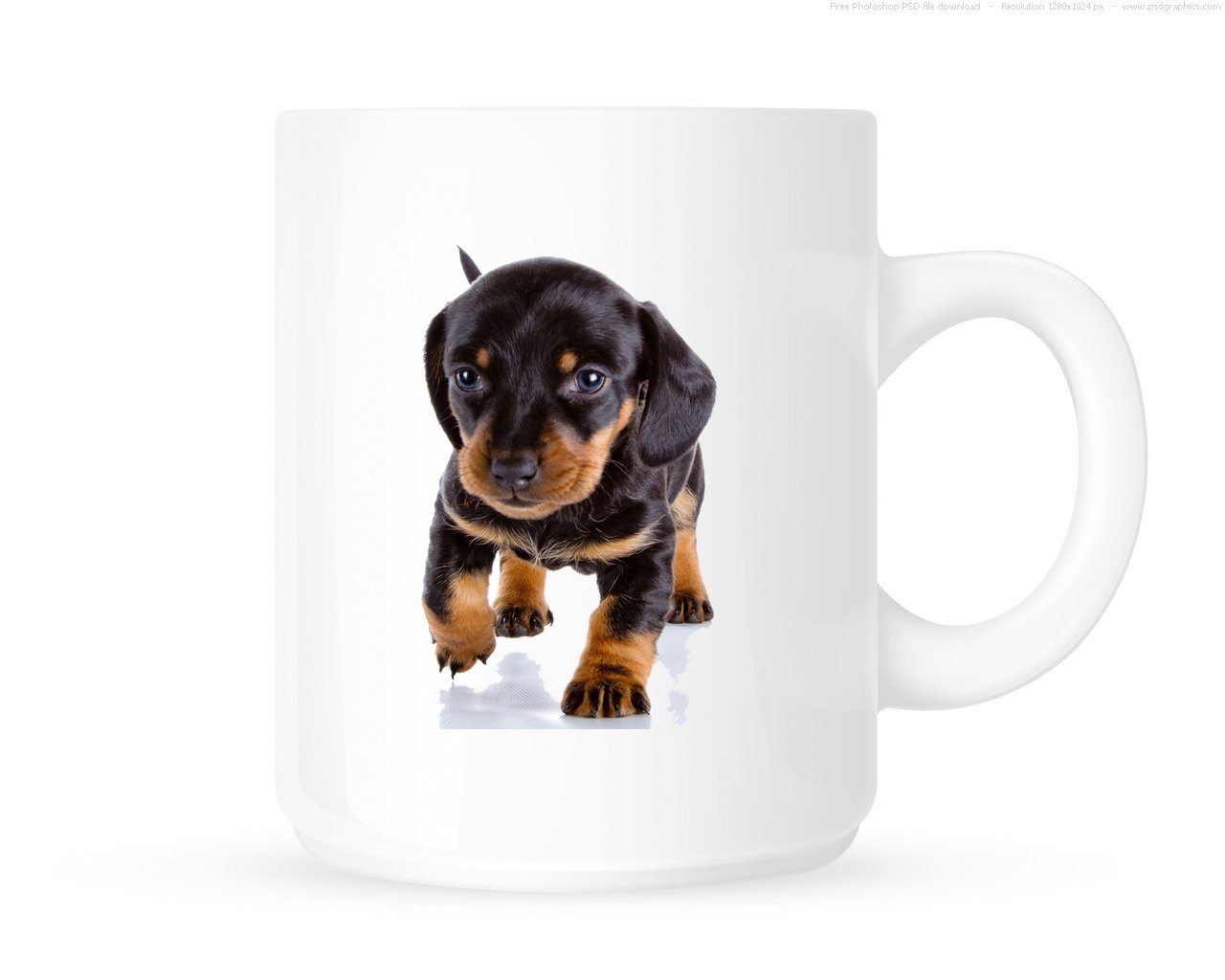Dachshund - Cute Puppy Dog - Novelty Tea/Coffee Mug/Cup - Great Gift Idea