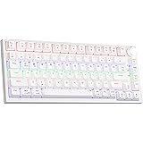 Newmen GM326 75% Mechanical Gaming Keyboard, 82 Keys Gasket Hot Swappable Wired Mechanical Keyboard with Rainbow LED Backlit 