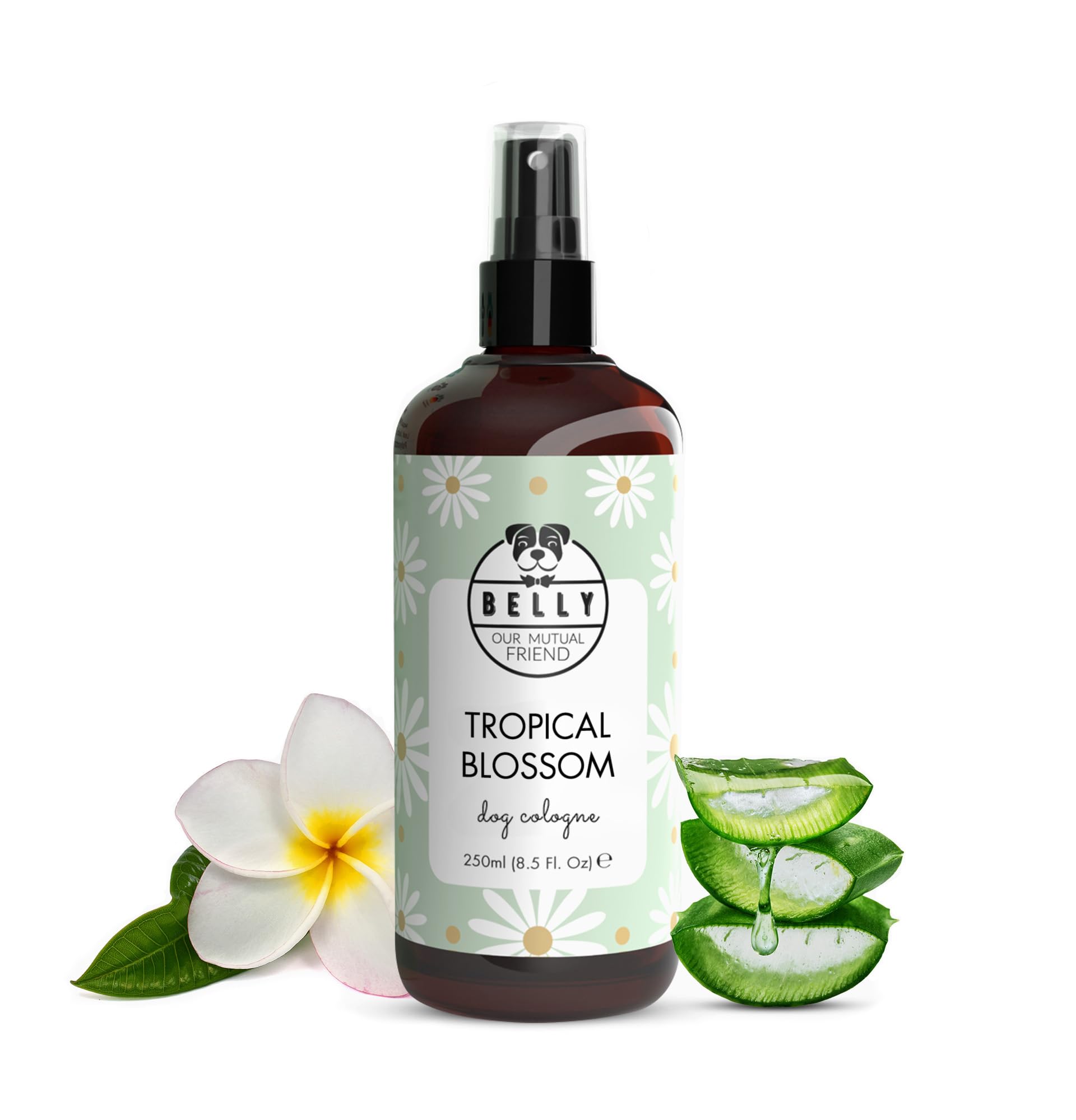 Belly Natural Dog Perfume & Deodorant Spray, Long-Lasting Dog Smell Eliminator - Freshens Coat, Neutralizes Odors, Vegan Formula for Daily Use, 250ml (Frangipani)