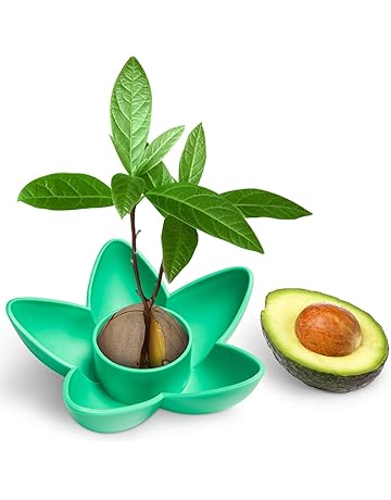 Amazon.es: Kits de cultivo en casa: Jardín