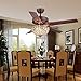 RainierLight Classical Crystal Ceiling Fan Lamp LED Light for Bedroom/Living Room Hotel/Restaurant with 5 Premium Metal Reversible Blades Remote Control 48 Inch