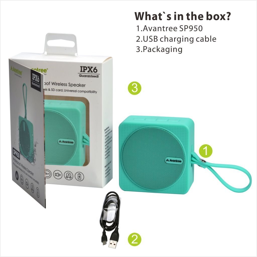 avantree sp950