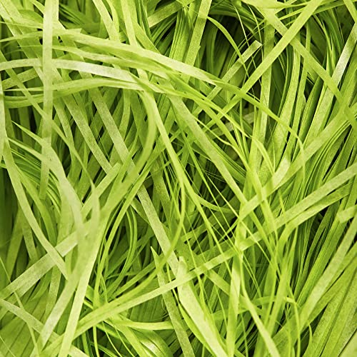 500g Light Green Shredded Tissue Paper, Light Green Shredded Paper for Hampers, Soft to the Touch, Ideal Hamper Filling & Gift Packaging Filler