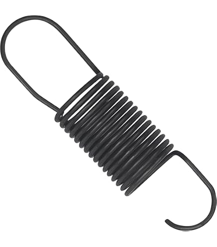 Amazon.com : Briggs and Stratton 809875 Governed Idle Spring