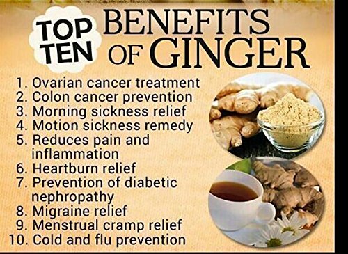 Jamaican Ginger Zingiber officinale Grow Your Own 1 Oz Rhizomes for Indoor or Outdoor Planting