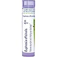 Boiron Euphrasia Officinalis 1M for Abundant & Irritating Eye Discharge - 80 Pellets