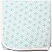 Roxie's Everything Blanket and Gift Bag, Baby and Toddler, Turquoise
