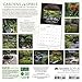 Gardens of the Spirit 2018 Wall Calendar: Japanese Garden Photography