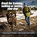 ATLIN Dog Leash with Padded Handle – Strong for Medium and Large Dogs – DynamicComfort Climbing Rope Pet Lead - 4 FT or 6 FT Leashes for The Perfect Amount of Control - Reflective Leash for Safety