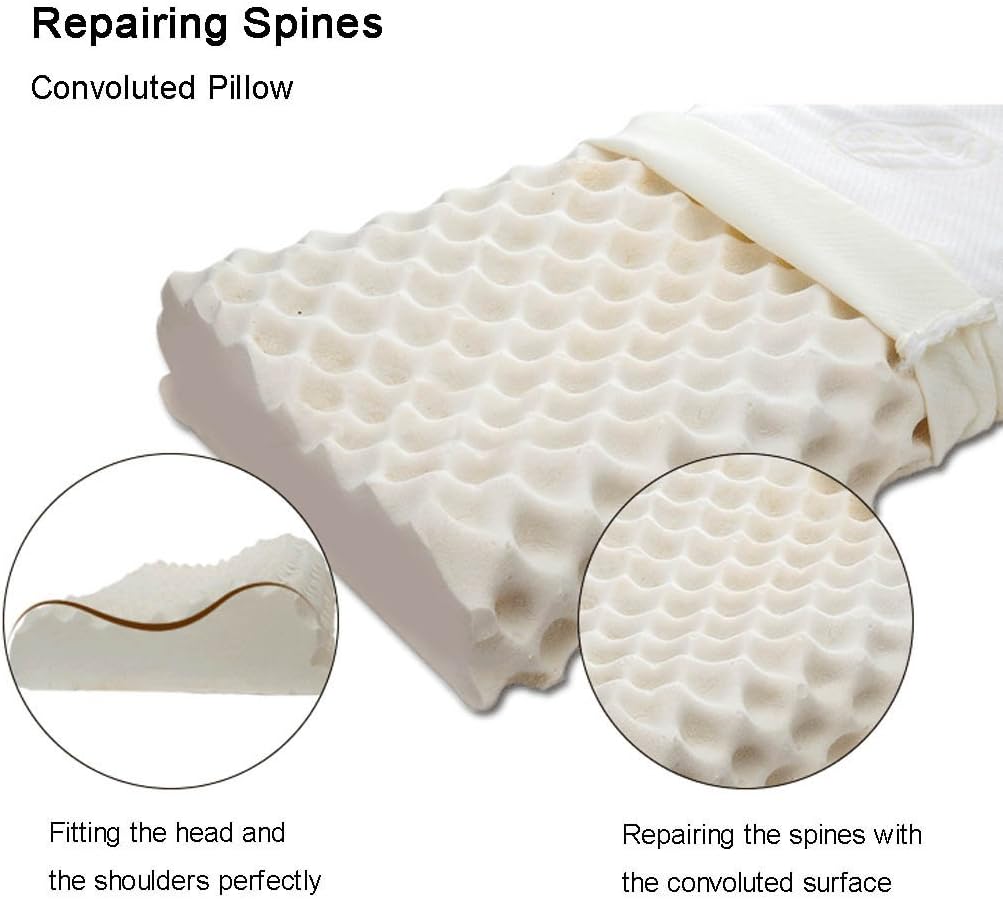 Ventry 100% Natural Latex Foam Memory Pillow Convoluted Massage Pillow Thailand (Contour Pillow)