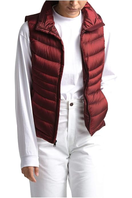 The North Face Women's Harway Vest 