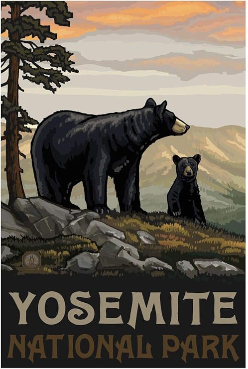 Amazon Com Yosemite National Park Black Bear Family Giclee Art Print Poster From Original Travel Artwork By Artist Paul A Lanquist 12 X 18 Posters Prints