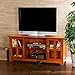 SEI Furniture Remington TV/Media Storage Television Stand, Oak