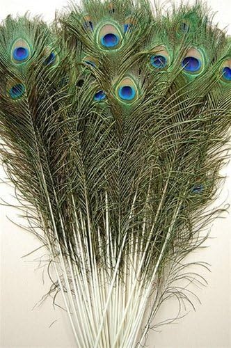 50 Pcs Peacock Feathers 30"-35" by Peacock Tails