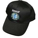 Daylight Sales BNSF Swoosh Logo 