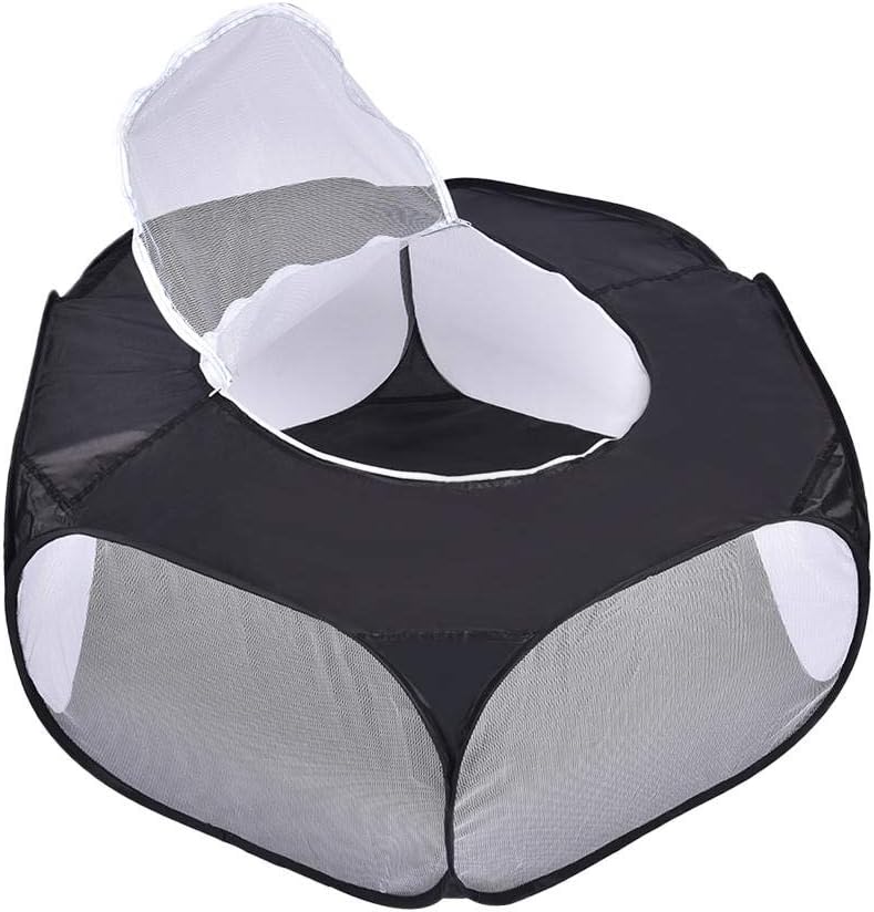 box per cani da compagnia