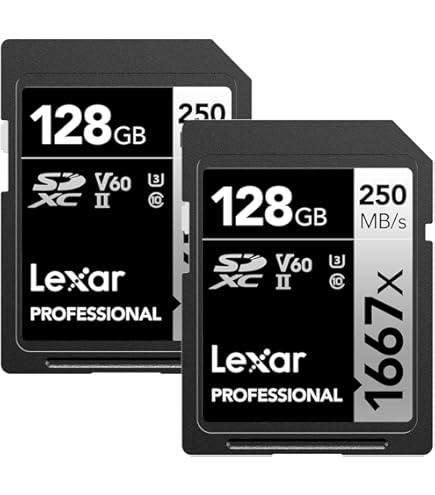 Amazon.com: Sony 120GB G Series XQD Memory Card : Electronics