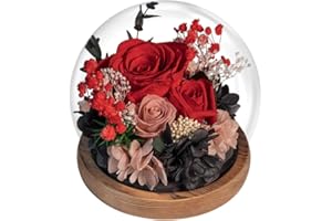 EIGHTOWN Red Roses Preserved Flower in Glass Dome - Real Rose Gift for Her - Forever Gift for Valentines Day, Mothers Day, Birthday, Anniversary, Wedding, Thanksgiving