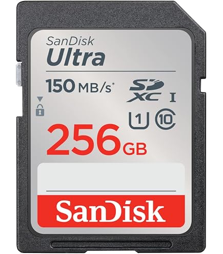 Amazon.com: Nikon COOLPIX B500 Digital Camera Memory Card 16GB